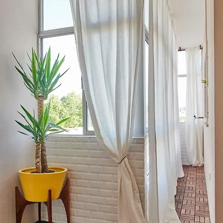 Alma Ao Sol - Sunny Apartamento